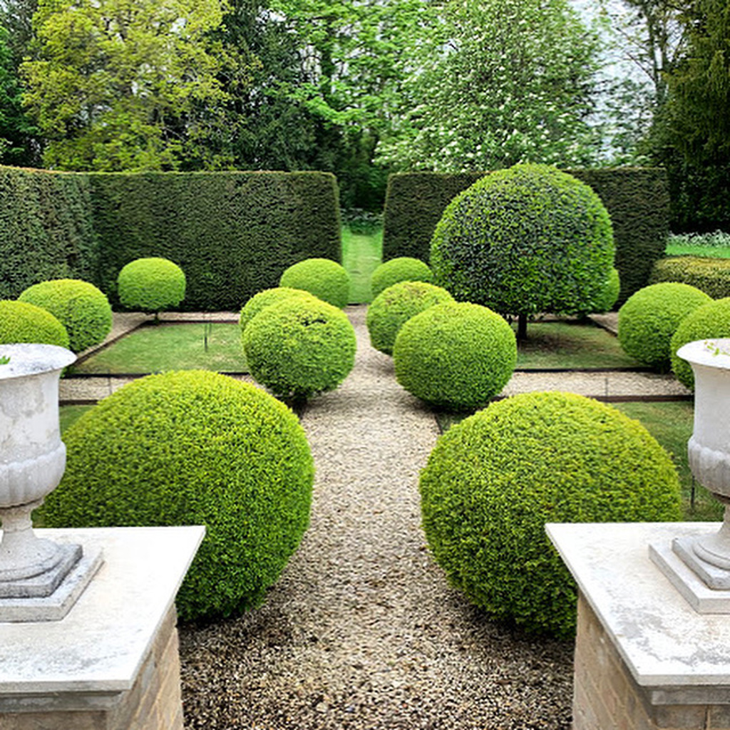 Topiary