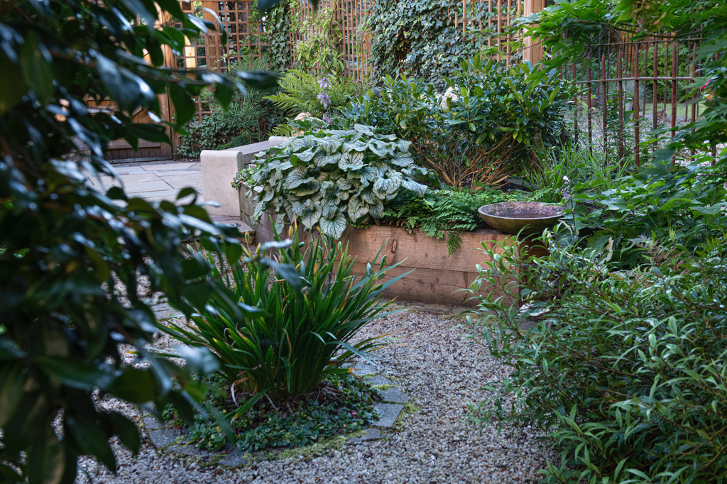 West End Glasgow Garden 3