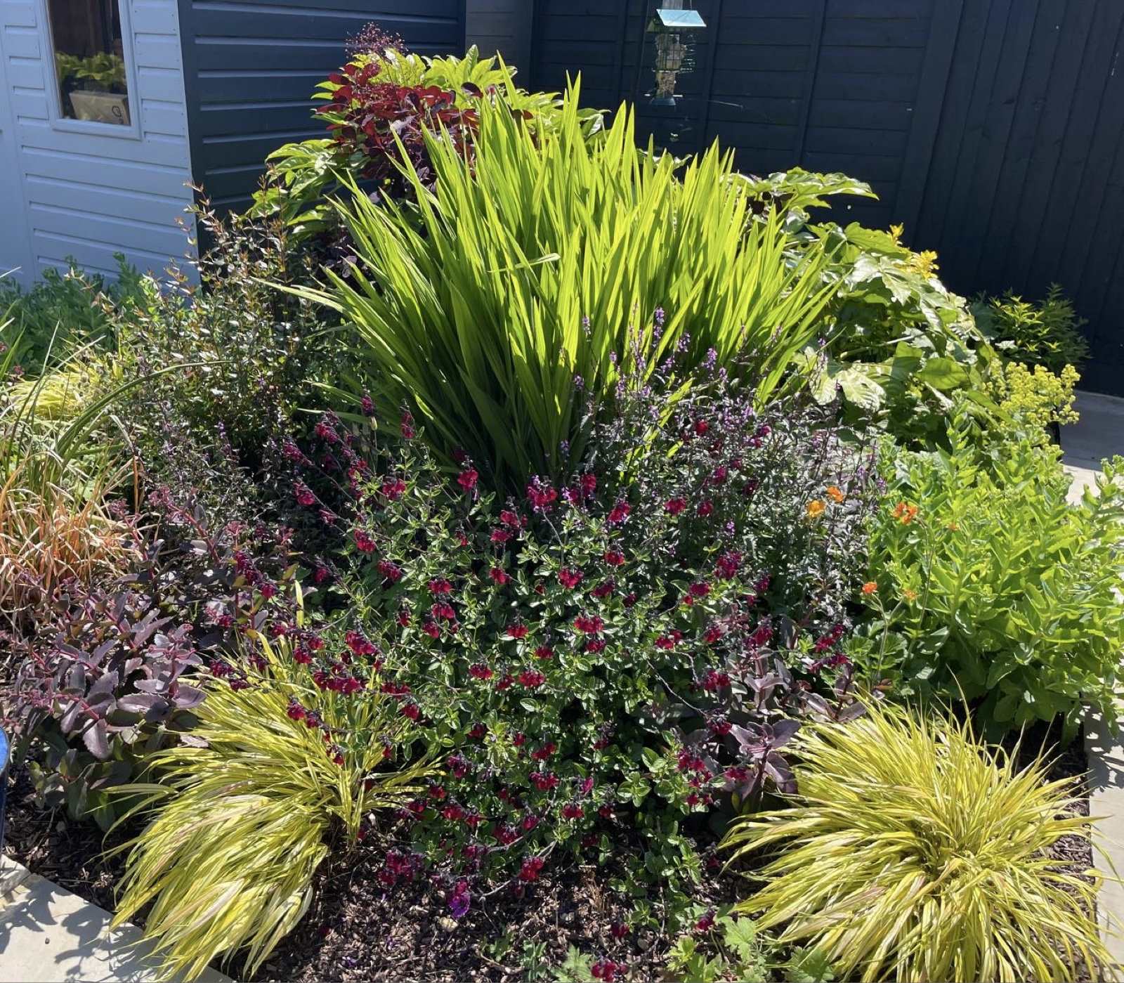 Lush planting growing well