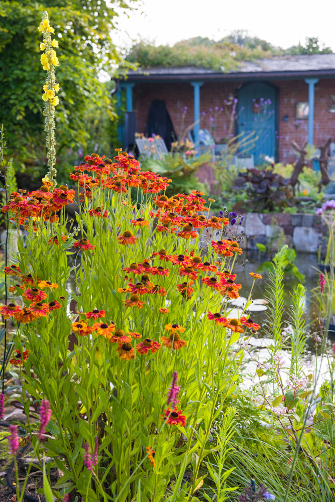 The Parsonage Garden