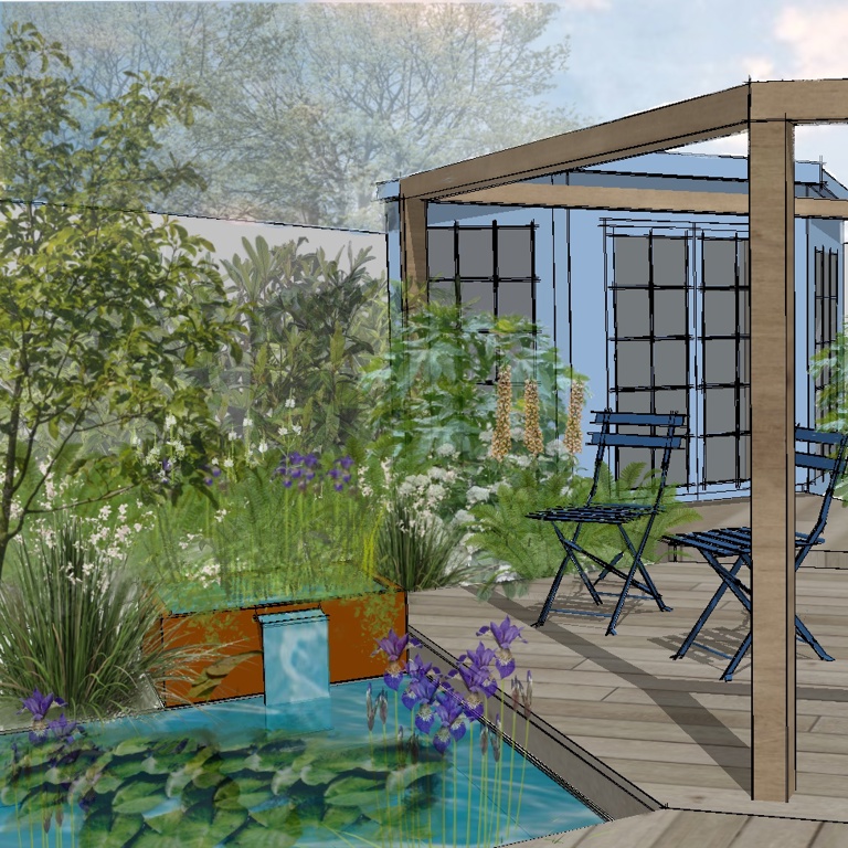 Deck & pond area