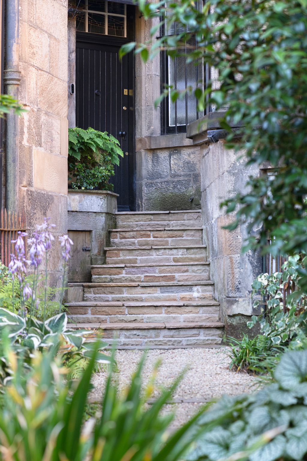 West End Glasgow Garden 4