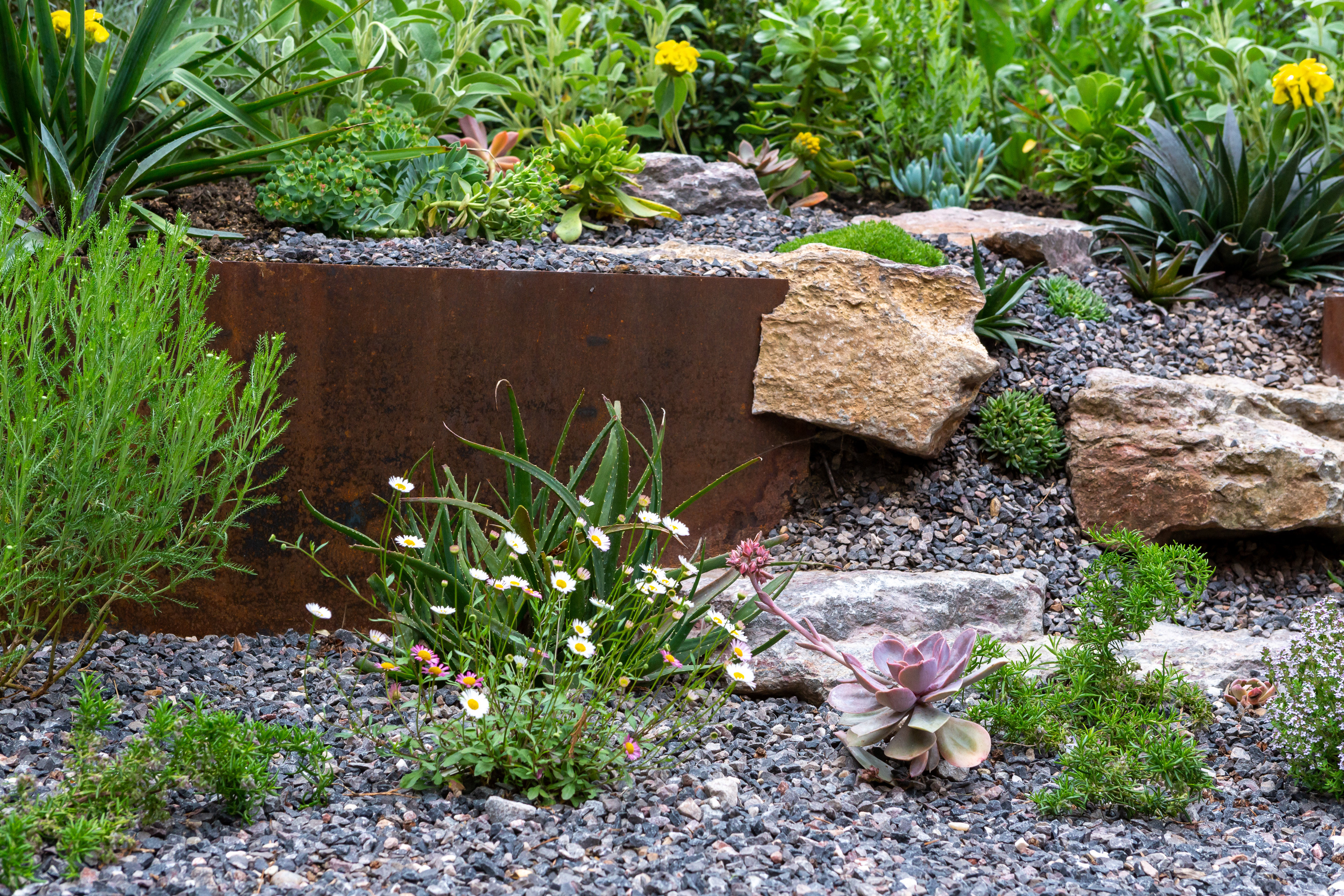 The Contemporary Courtyard Garden ‎ ‎ ‎ ‎ ‎ 