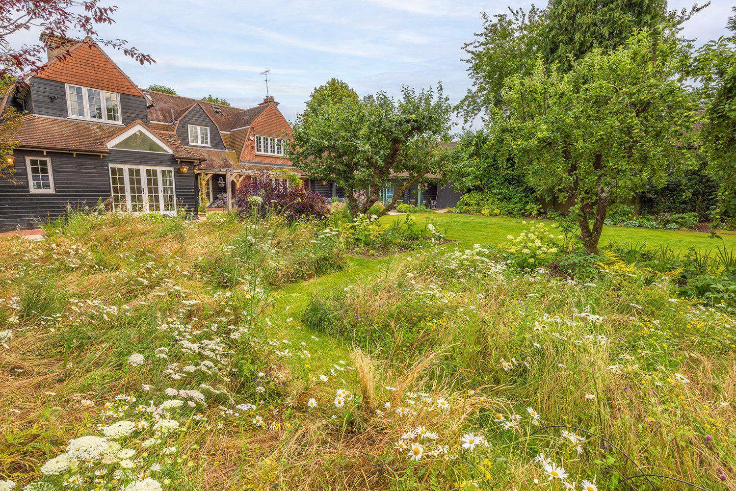 View from reading nook across the meadow and orchard 