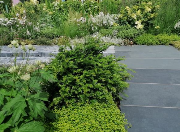 Paving