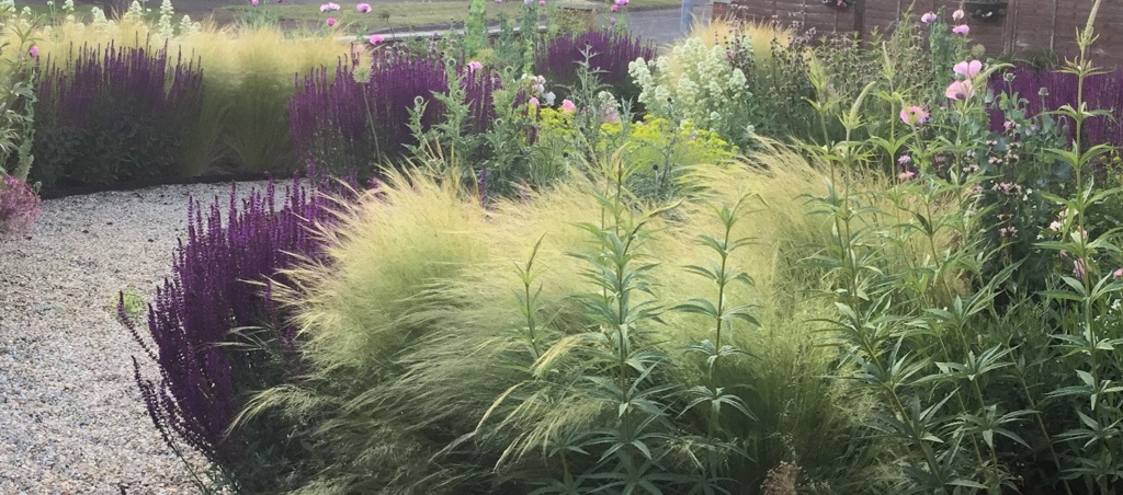 Naturalistic Garden 2