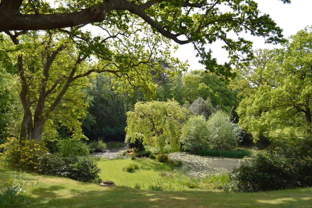View to Existing Lake