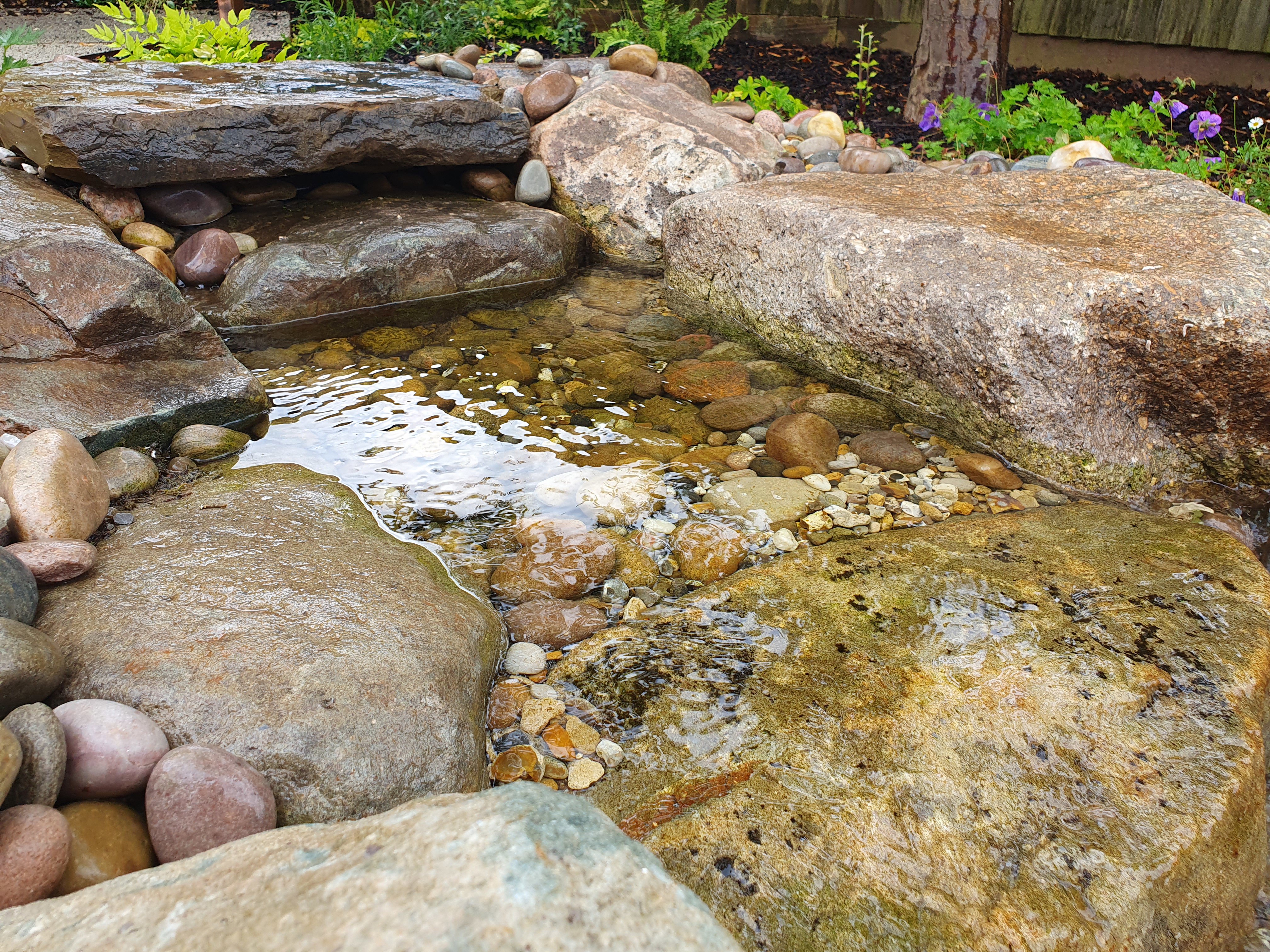 Alpine stream