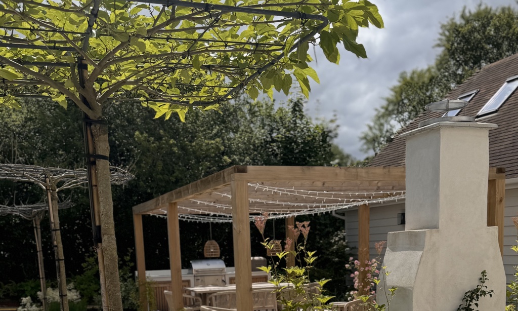 Entertains area