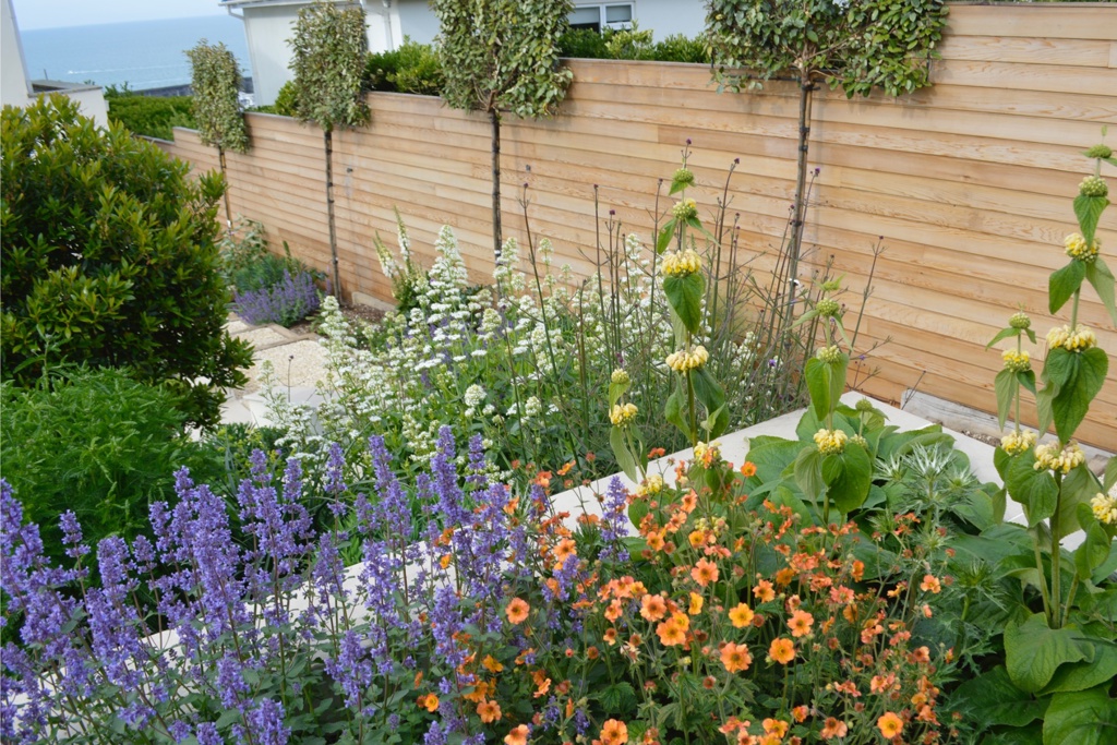 Coastal planting