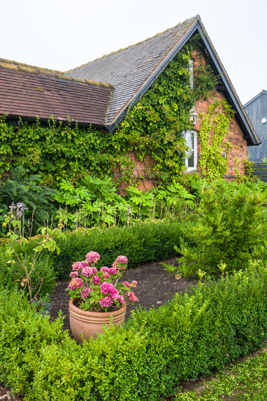 The Large Country Garden in Cheshire