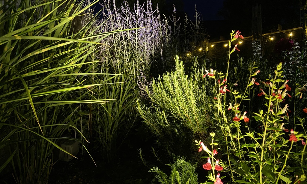 Illuminated planting