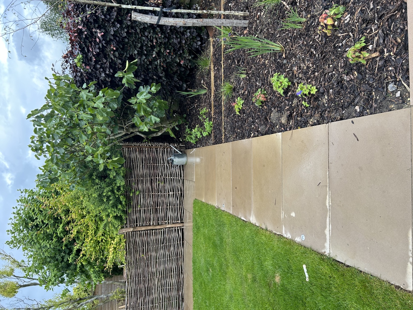 Garden Path, formal lawn and planting