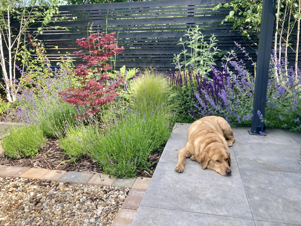 A sunken garden for seating and entertaining