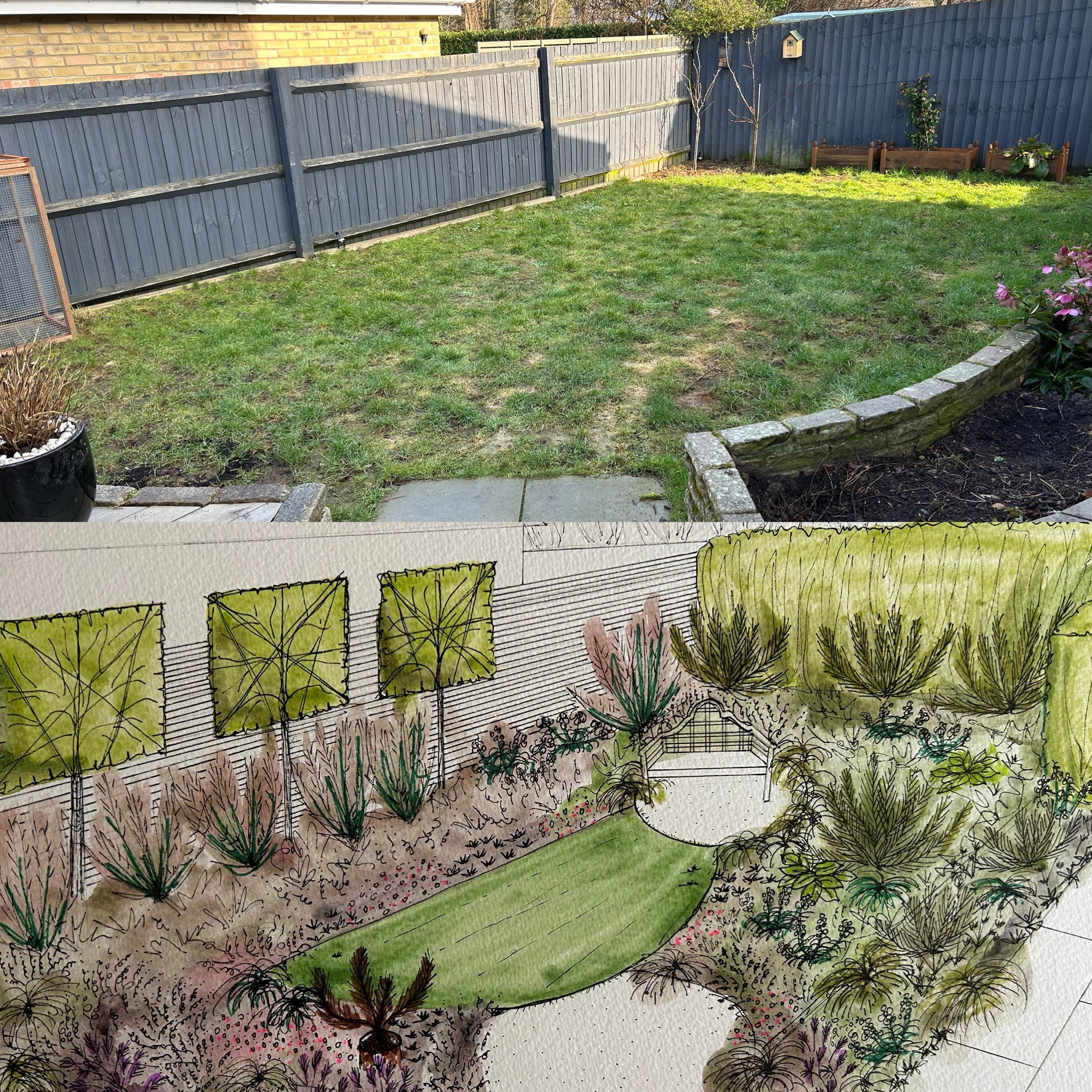illustration and before image