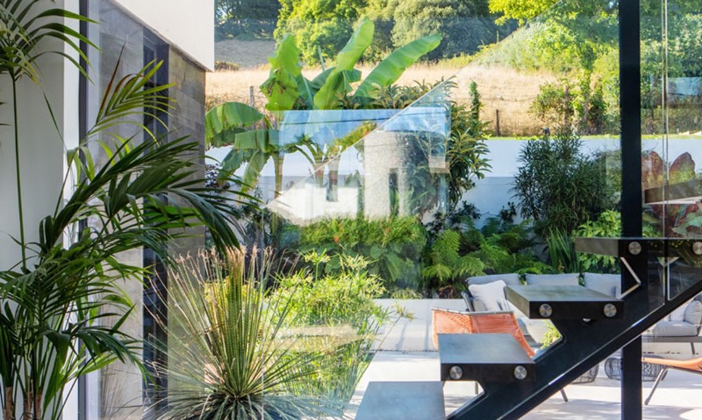 Through a glass darkly