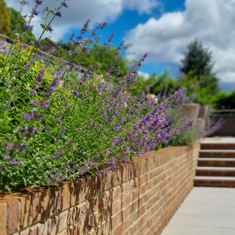 Planting borders