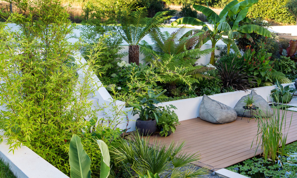 Around the world in 80 plants