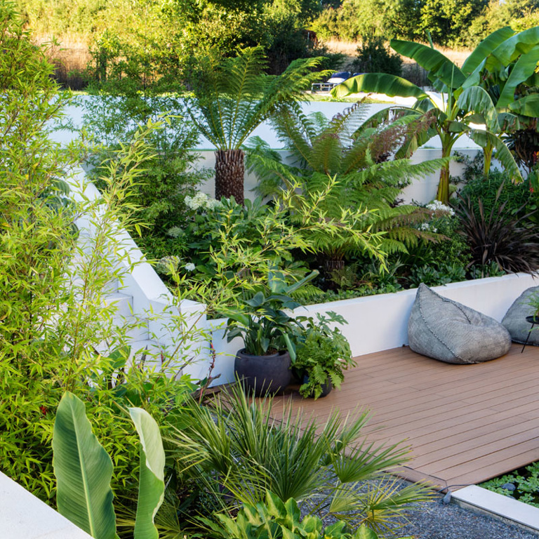 Around the world in 80 plants