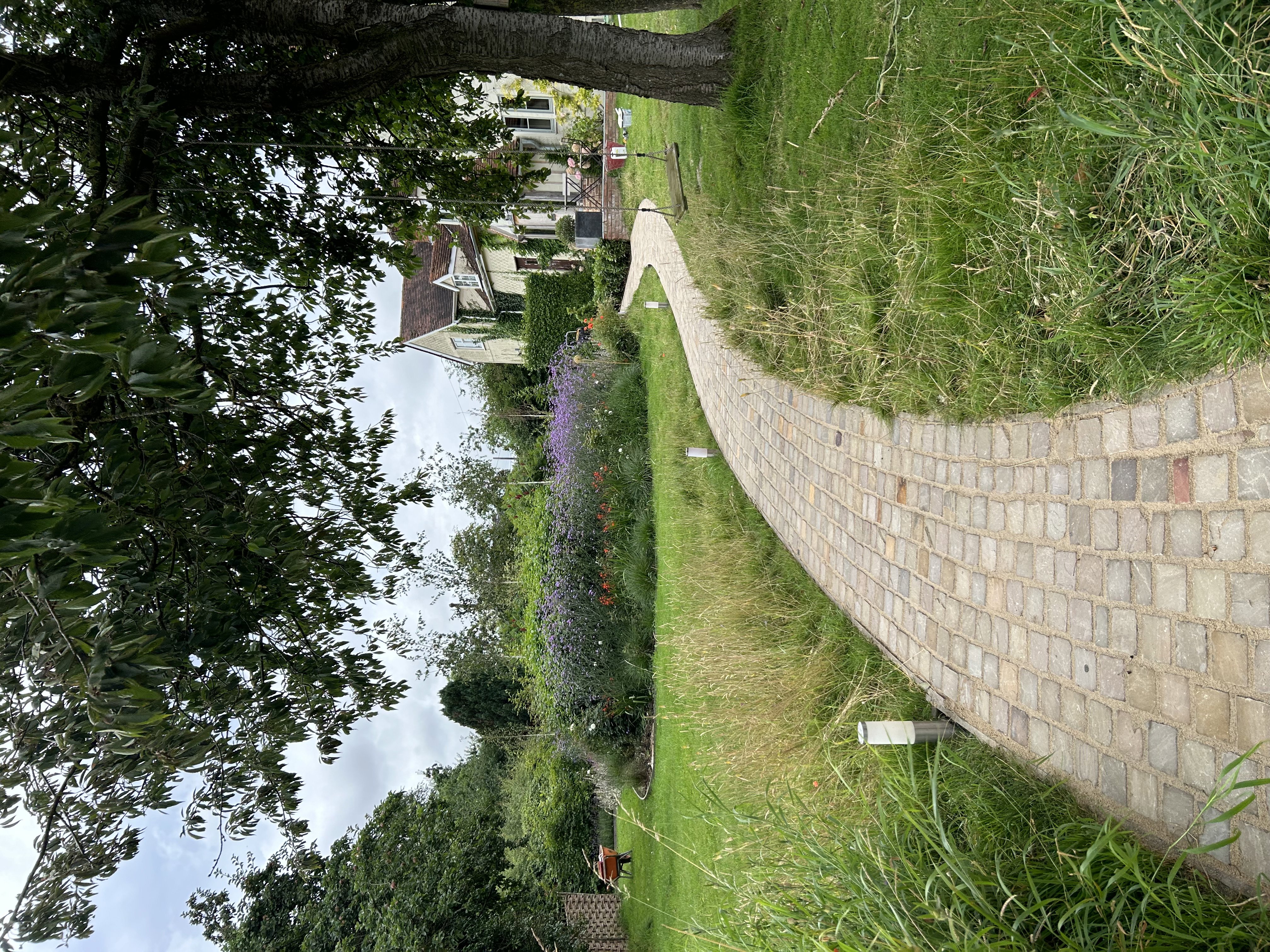 Winding Cottage Garden Path with Wildflowers 