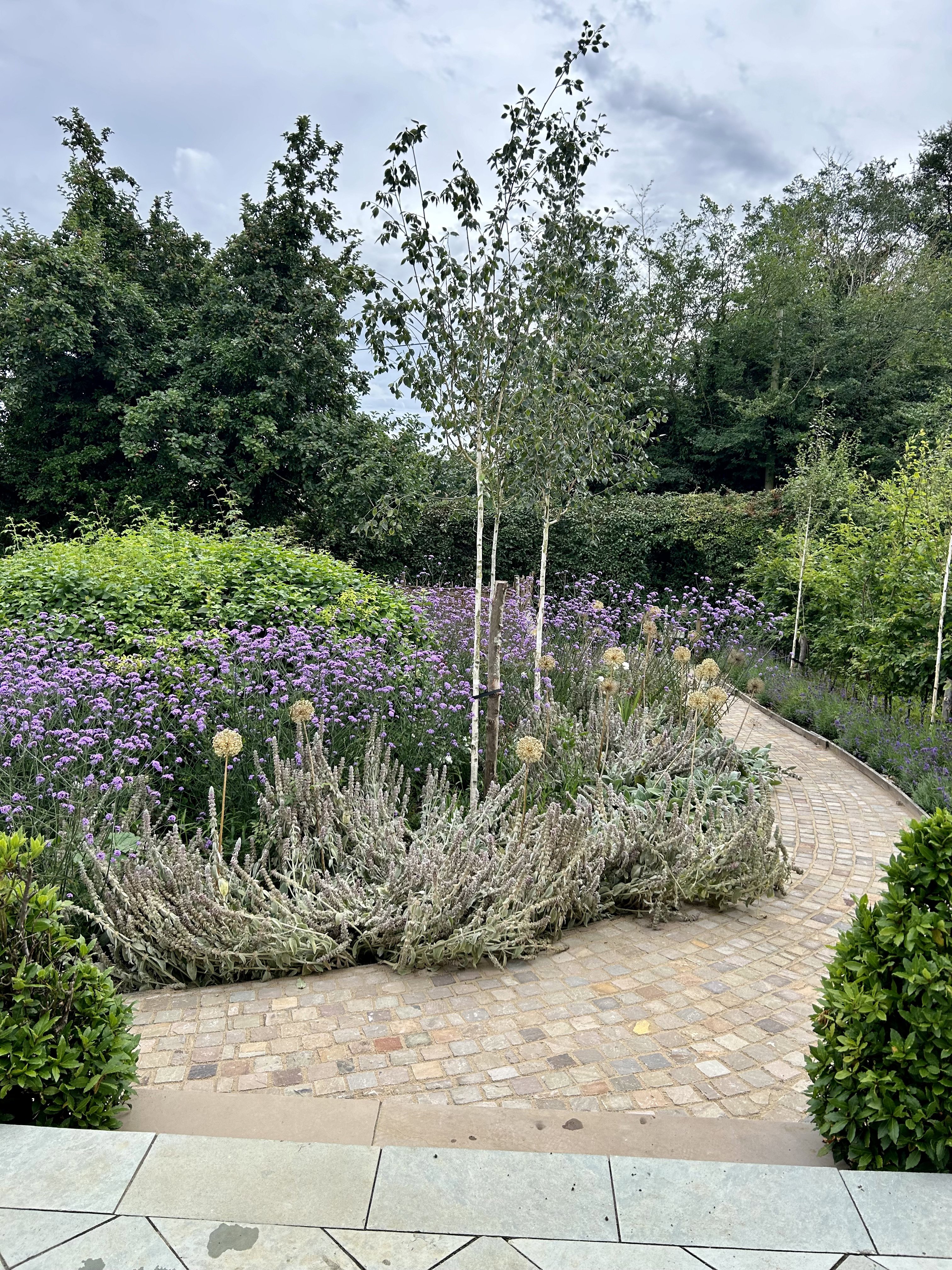 Cottage Garden Path with Planting 