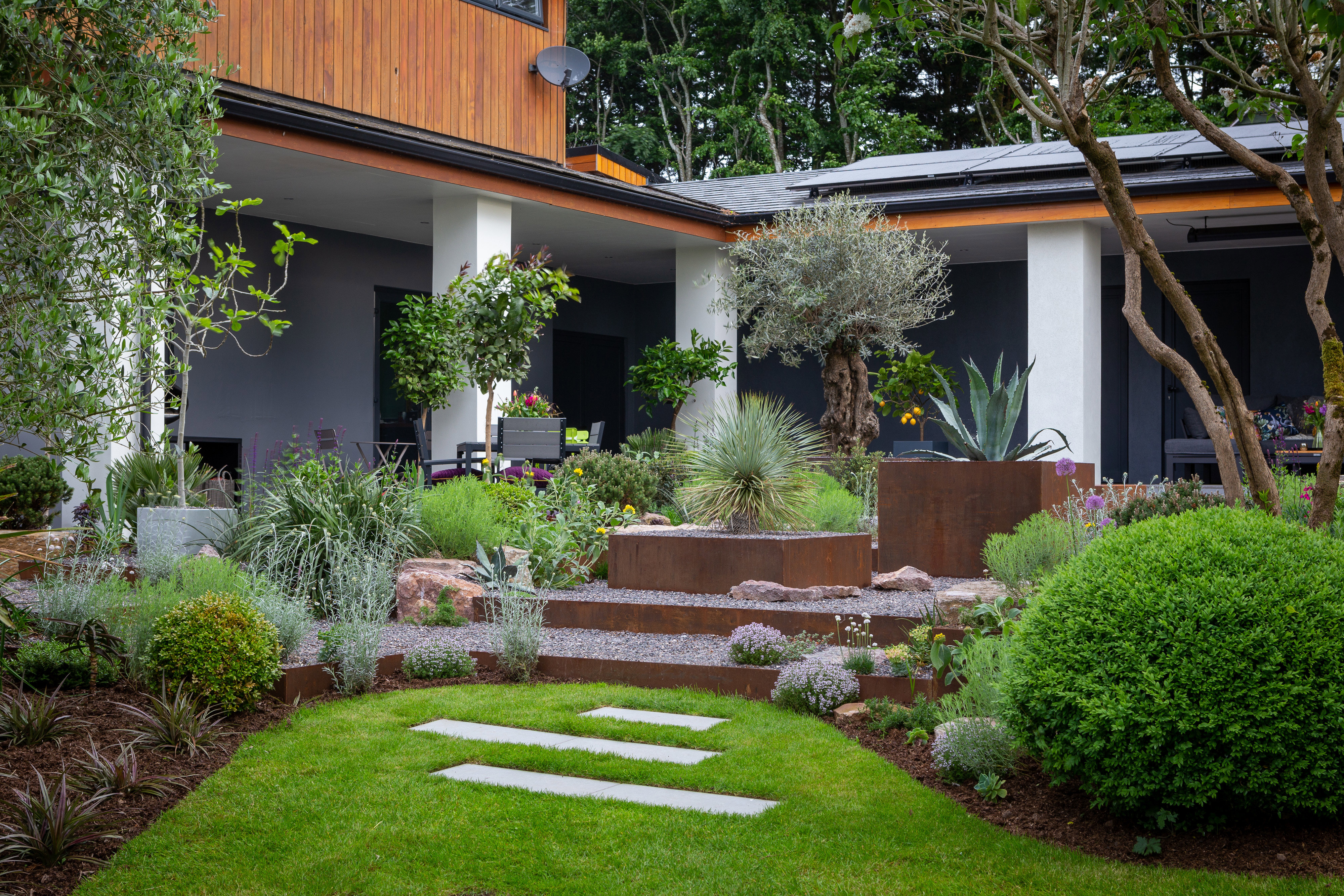 The Contemporary Courtyard Garden 