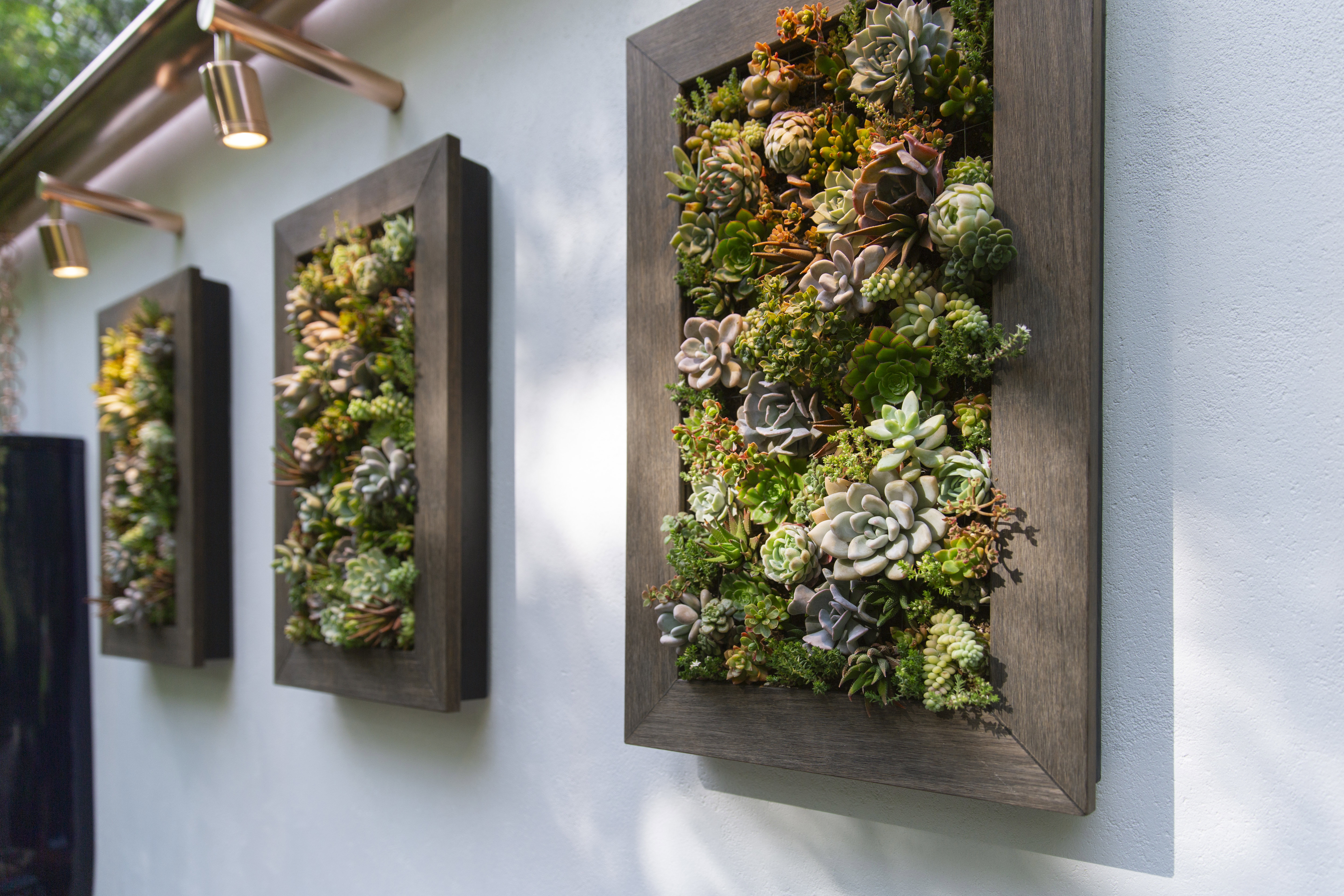 Succulent panels on the back wall