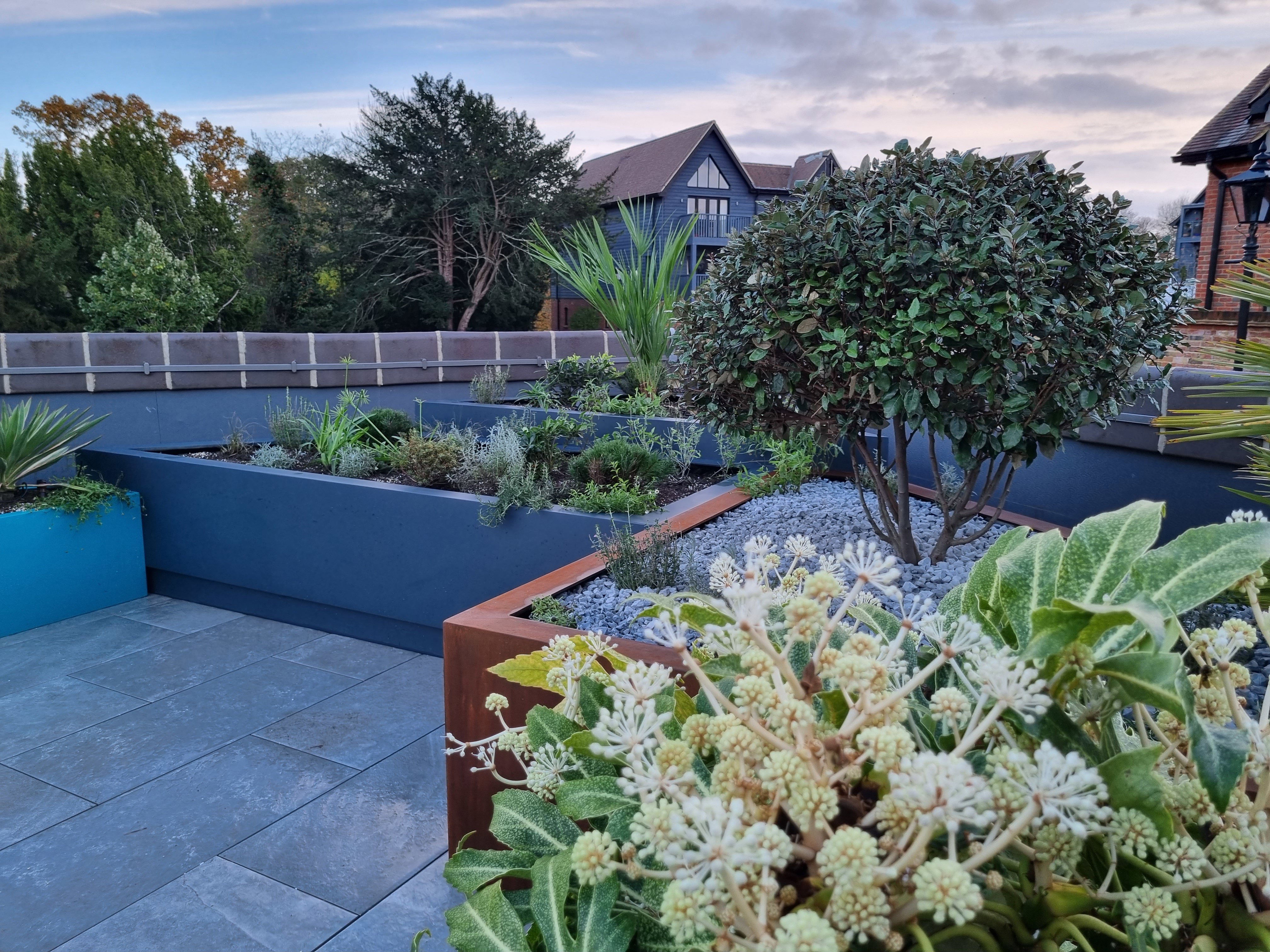 The Contemporary Rooftop Garden 